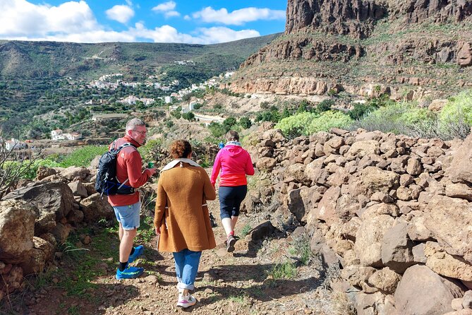 Gran Canaria Cave, Oasis, Red-gorge Adventure & cosy Picnic - Key points at a glance