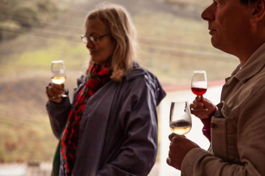 Gran Canaria: Customizable Private Tour - Why a private tour works well on Gran Canaria