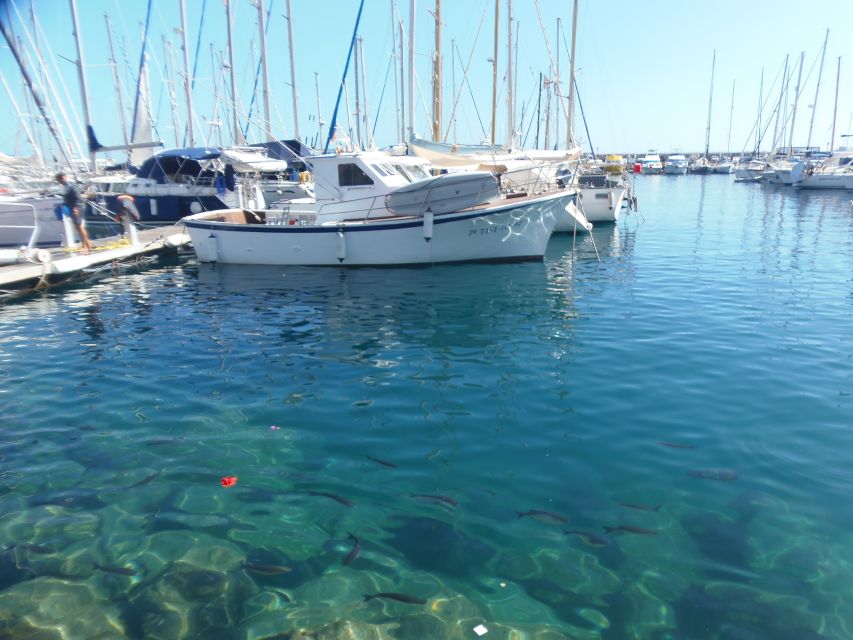 Gran Canaria: Customizable Private Tour - What the price means for your group