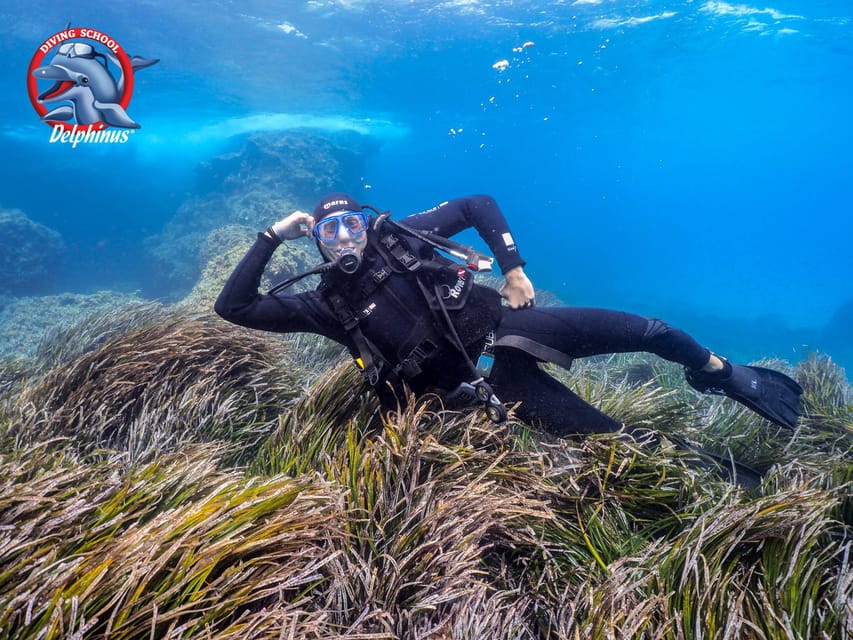 Gran Canaria: Discover Scuba Diving Beginner Program - The shallow-water lesson is the real preparation