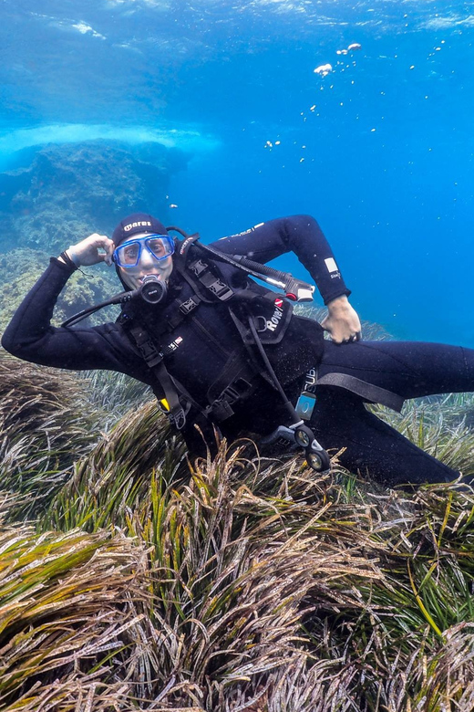 Gran Canaria: Discover Scuba Diving Beginner Program - Is $117 a fair price?
