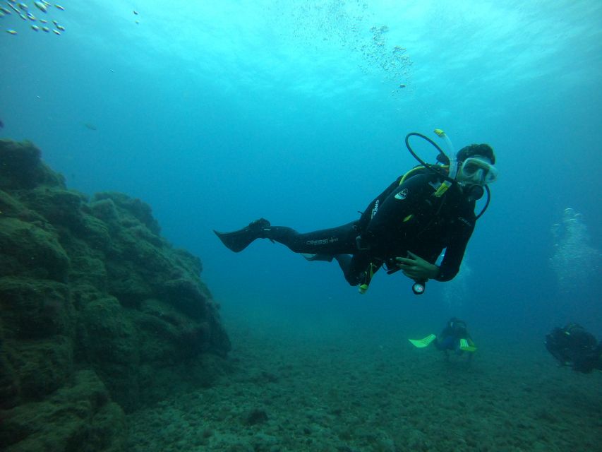 Gran Canaria: Discover Scuba Diving - Free Transfers - Photos, timing, and practical planning