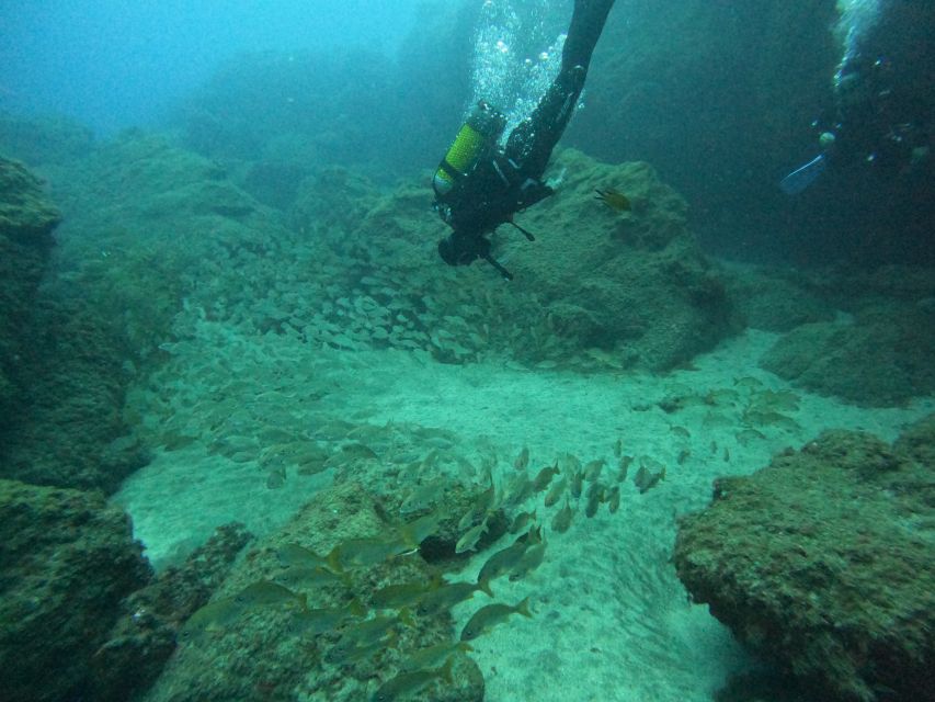 Gran Canaria: Discover Scuba Diving - Free Transfers - What this first scuba session actually feels like