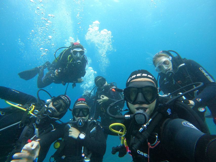 Gran Canaria: Discover Scuba Diving - Free Transfers - What you may see below the surface