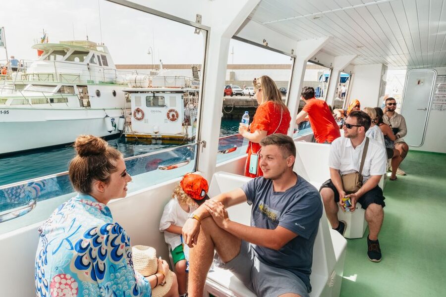 Gran Canaria: Dolphin and Whale Watching Cruise - Key points at a glance