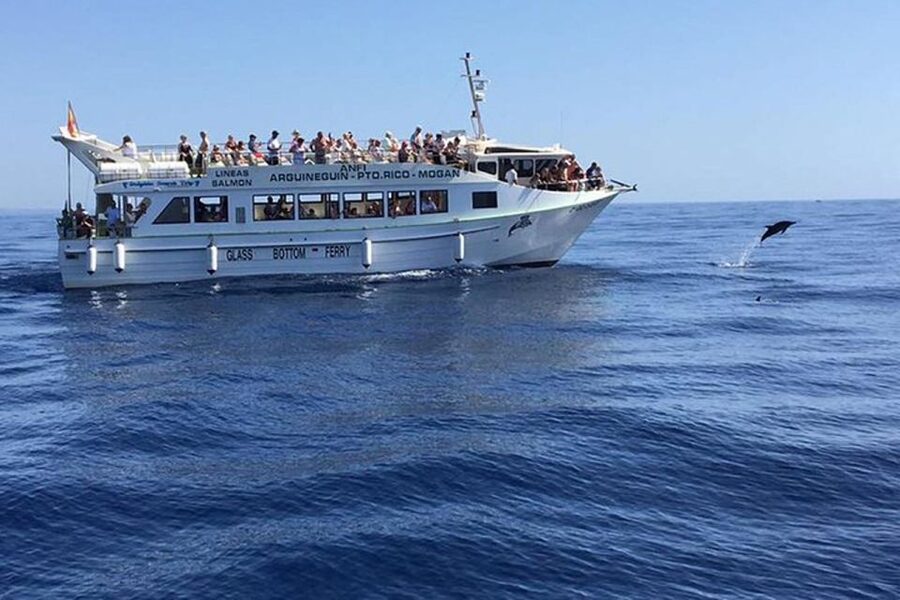 Gran Canaria: Dolphin and Whale Watching Cruise - Leaving Puerto Rico at 10:15