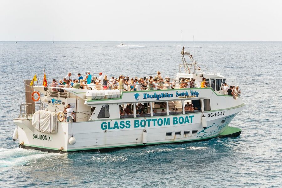 Gran Canaria: Dolphin and Whale Watching Cruise - Crew care makes a difference