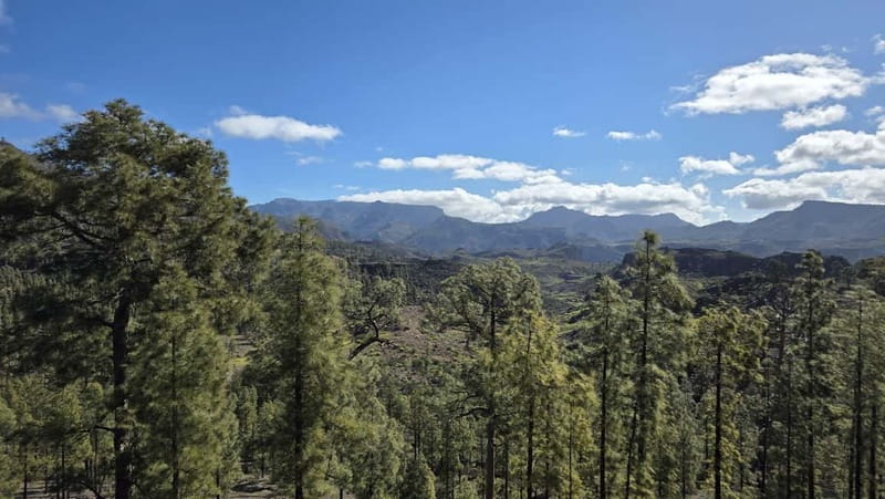 Gran Canaria: Full Coast Tour with Local Guide - Playa de San Felipe offers a quieter pause