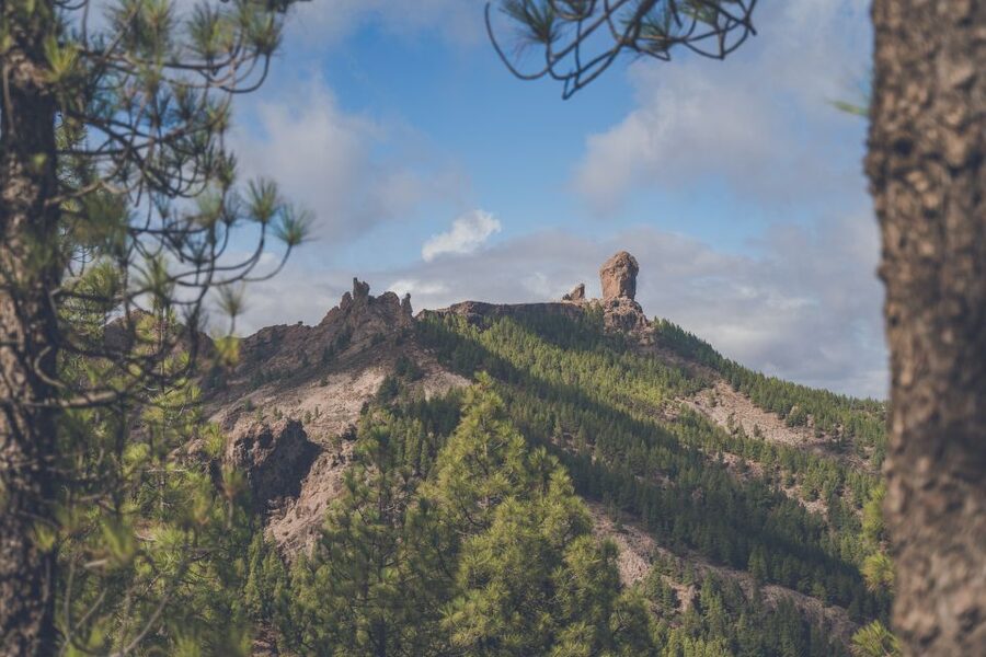 Gran Canaria: Full-Day Customizable Private Photography Tour - Photos that include the whole group