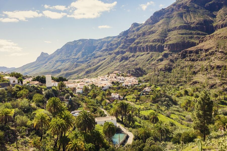Gran Canaria: Full-Day VIP Tour by Bus - The coach, guide, and pace of the day