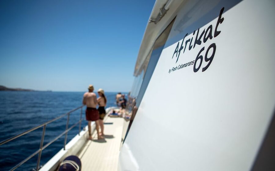 Gran Canaria: Fun Catamaran Cruise with Food and Drinks - The crew makes the atmosphere
