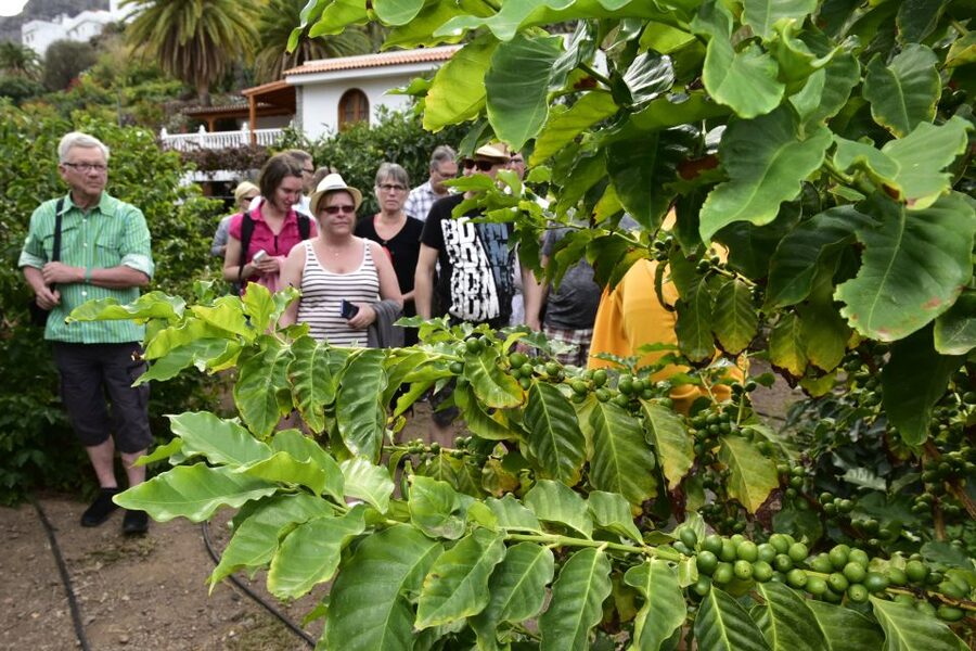 Gran Canaria: Grand Island Tour by Bus with Transfers - Las Palmas at Las Arenas and Las Canteras