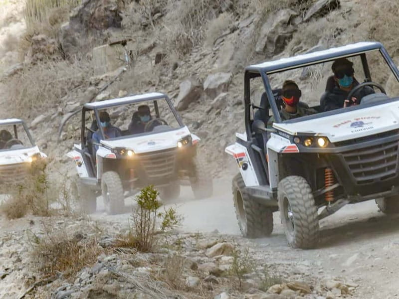 Gran Canaria Guided Buggy Tour - Key points to know before you book