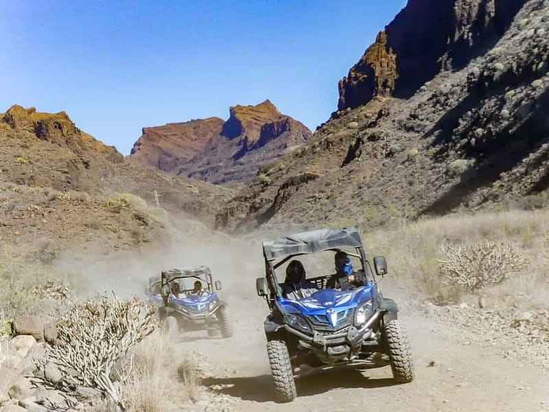 Gran Canaria Guided Buggy Tour - Who will enjoy this Gran Canaria buggy tour