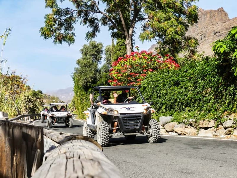 Gran Canaria Guided Buggy Tour - What the off-road section is really like