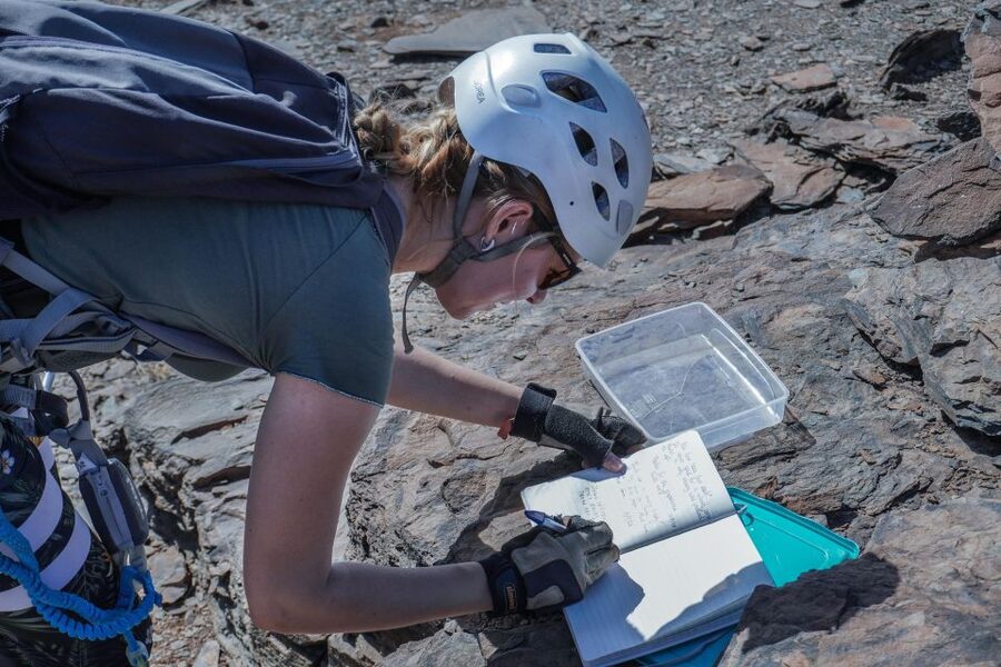 Gran Canaria: Guided Via Ferrata Excursion - What is included for $82