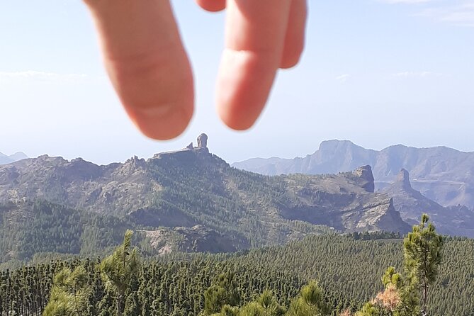 Gran Canaria Highlights Private Tour VIP - From the Maspalomas dunes to a volcanic high road