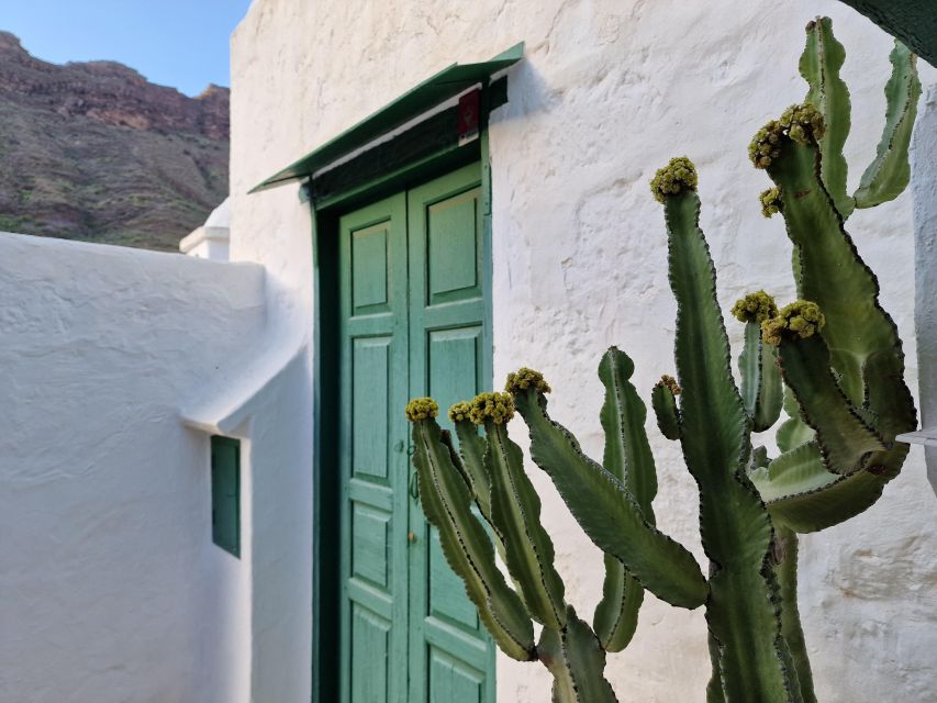 Gran Canaria historical house with mango plantation - The mango dessert worth remembering