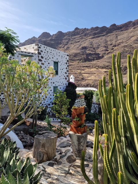 Gran Canaria historical house with mango plantation - Who will enjoy this Mogán experience most?