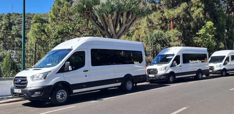 Gran Canaria: Island Highlights Tour with Optional Lunch - What the guide and driver add