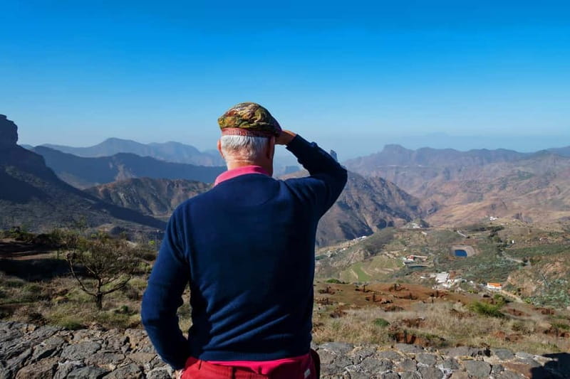 Gran Canaria: Island Highlights Tour with Optional Lunch - Is $79 a fair price?