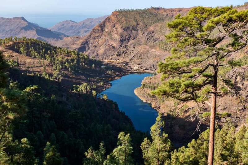 Gran Canaria: Island Highlights Tour with Optional Lunch - Aloe Vera Finca Canarias: more than a roadside stop