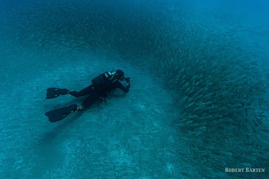 Gran Canaria:Live an Adventure and Learn to Dive with Expert - My verdict on this Gran Canaria scuba experience