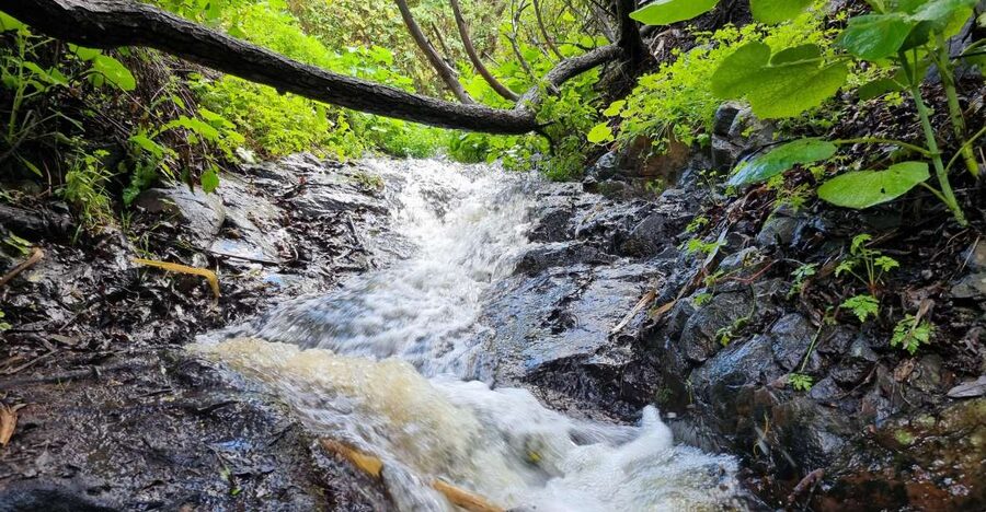 Gran Canaria: "Magic Waterfalls" Hiking Tour - Why this route feels different from southern Gran Canaria