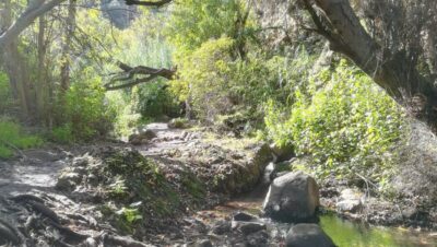 “Magic Waterfalls” Hiking Tour