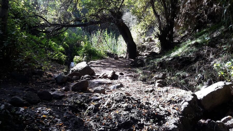 Gran Canaria: "Magic Waterfalls" Hiking Tour - A small group makes the mountain day easier