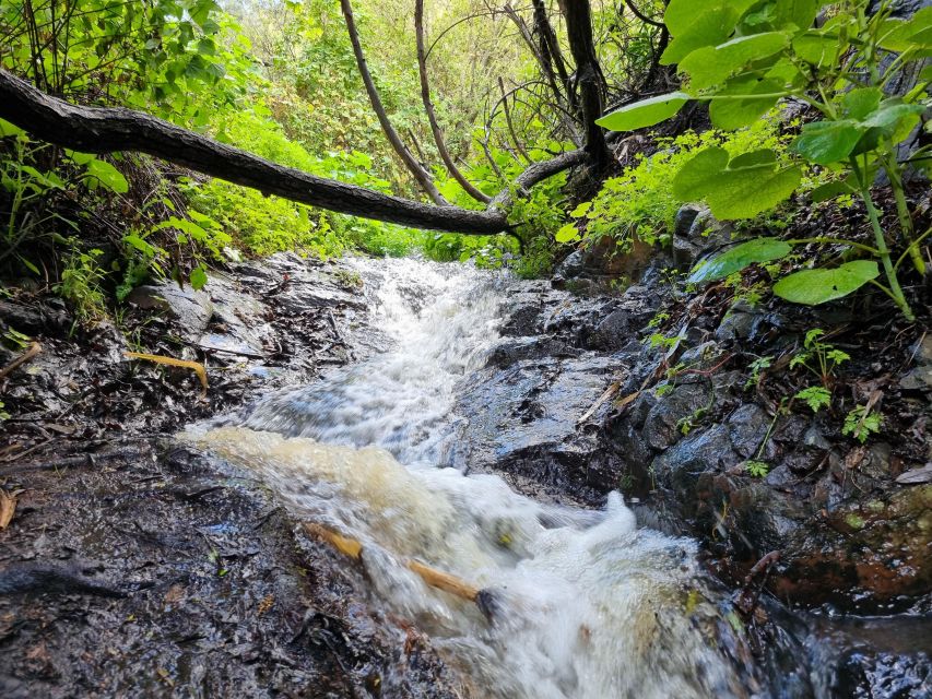 Gran Canaria: "Magic Waterfalls" Hiking Tour - Hotel pickup from Puerto de Mogán to Bahia Feliz