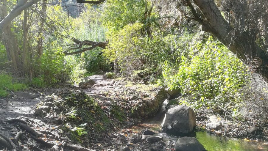 Gran Canaria: "Magic Waterfalls" Hiking Tour - The 7-kilometer route and what the numbers mean
