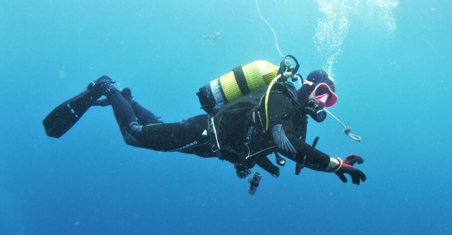 Gran Canaria: Morning Scuba Dive - Why Gran Canaria works well for a morning underwater outing