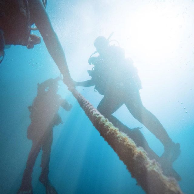 Gran Canaria: Morning Scuba Dive - Should you book Gran Canaria’s morning scuba outing?