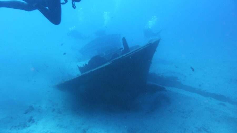 Gran Canaria: Morning Scuba Dive - Starting at Blue Water Diving at 8:30am