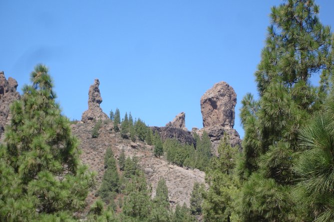 Gran Canaria Peaks Full-Day Tour from Las Palmas - Leaving Las Palmas at 9:00 in the morning