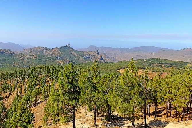 Gran Canaria Premium Tour: Volcanoes and Wine for cruisers - Leaving Las Palmas for Caldera de Bandama