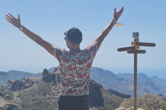 Gran Canaria Premium Tour: Volcanoes and Wine for cruisers - Caldera de los Marteles and the farming country