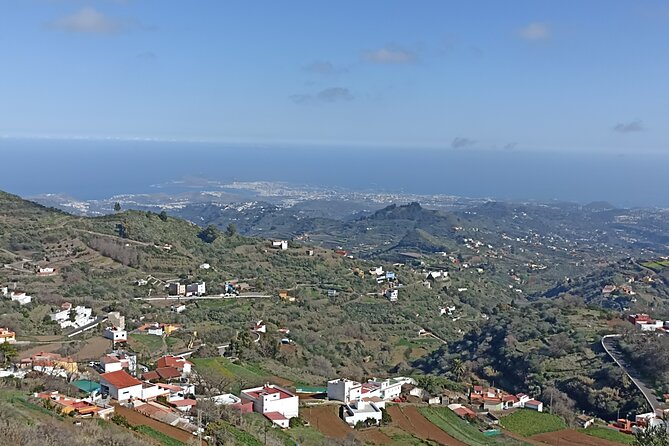 Gran Canaria Premium Tour: Volcanoes and Wine for cruisers - Santa Brígida, a pause for local food