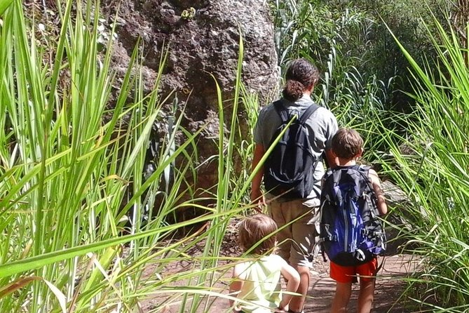 Gran Canaria private walks - Route Examples From Ravines to Reservoirs