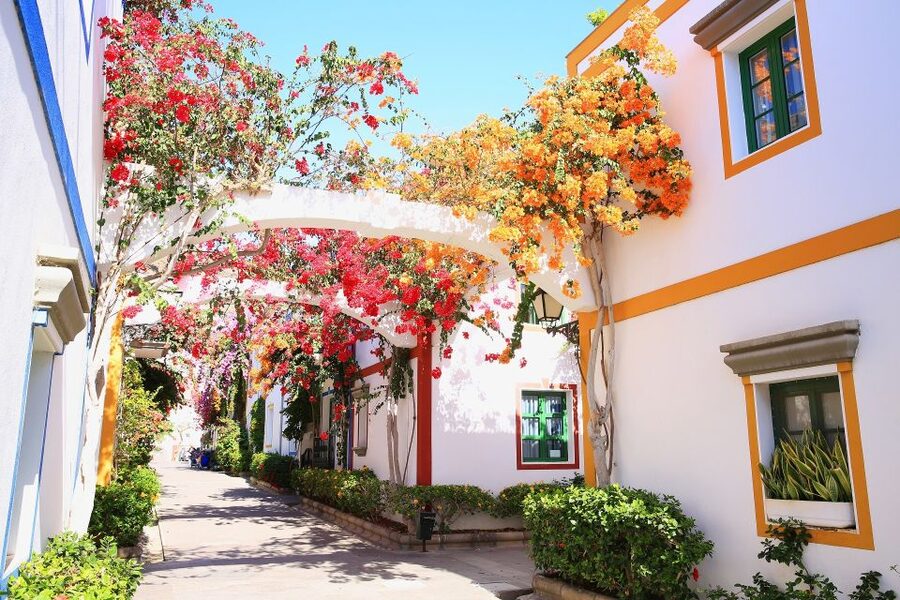 Gran Canaria: Puerto de Mogán Local Market Day Trip - Pickup details matter more than the low price
