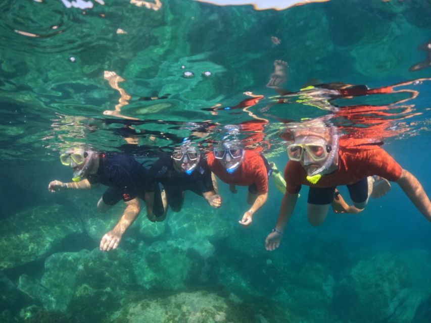 Gran Canaria: Snorkel tour with boat on the west coast - Key points to know before booking