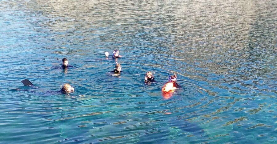 Gran Canaria: Snorkeling Trip - Key points to know before booking