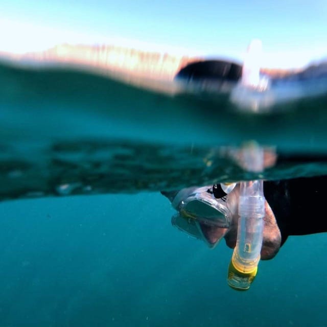 Gran Canaria: Snorkeling Trip - Starting at the Puerto Rico water center