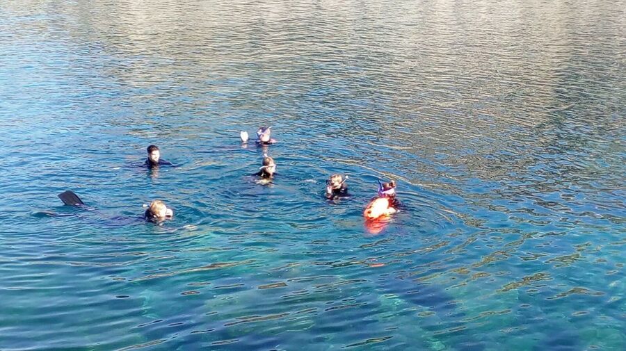 Gran Canaria: Snorkeling Trip - The trip to a local beach
