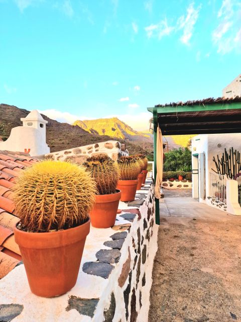 Gran Canaria: Spanish Tapas and Wine Tasting Tour in Mogan - Spanish wines, Canarian bottles, and Vermut Lolito