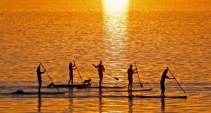 Gran Canaria: Stand-Up Paddle Lesson & Snorkeling Tour - Is the $131 price fair?
