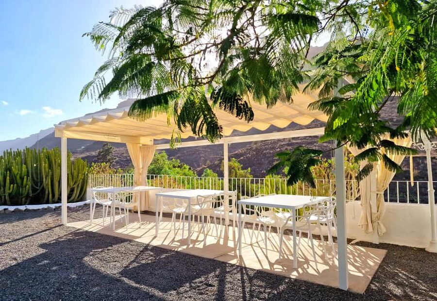 Gran Canaria: tasting wine & local cheese - Price, flexibility, and the practical details