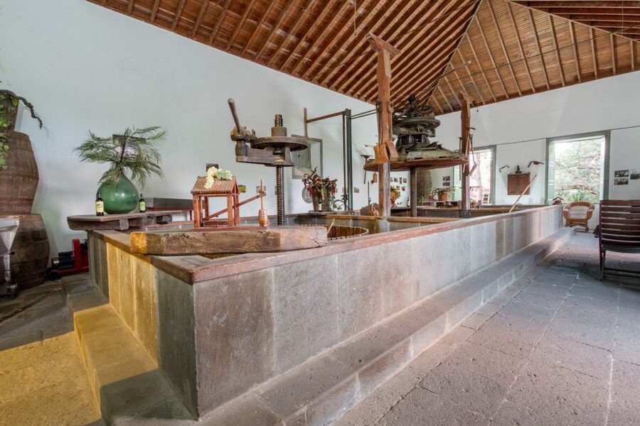 Gran Canaria: Winery Tour, Wine Museum, and Tasting - Two wines with Gran Canaria cheese and bread