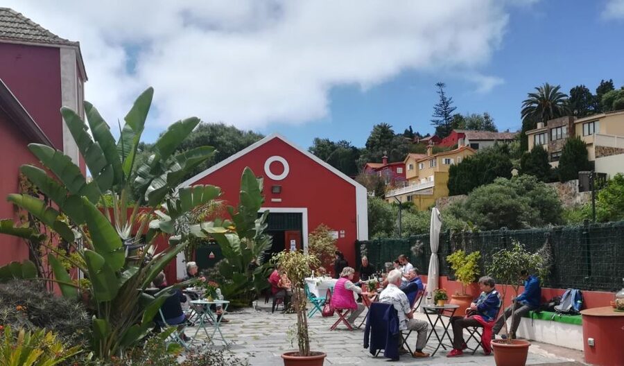 Gran Canaria: Winery Tour, Wine Museum, and Tasting - Is $34 good value for 90 minutes?